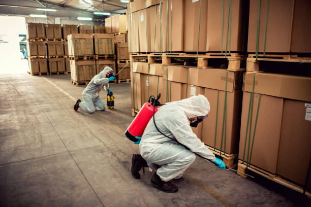 Reliable Dupo, IL Pest Control Solutions