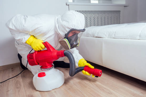 Best Exterminator Services  in Dupo, IL