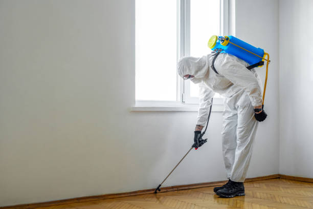 Wildlife Control Services in Dupo, IL