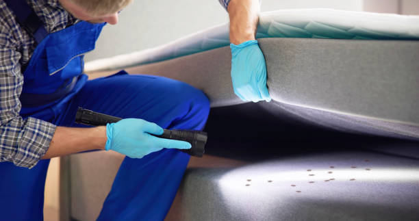 Best Cockroach Control Services  in Dupo, IL