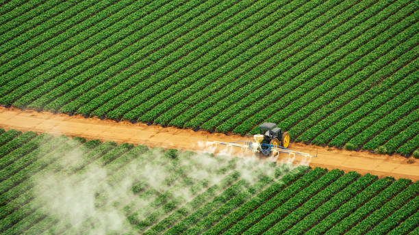 Best Best Pest Control Companies  in Dupo, IL