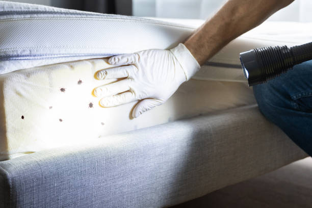 Pest Prevention Services in Dupo, IL