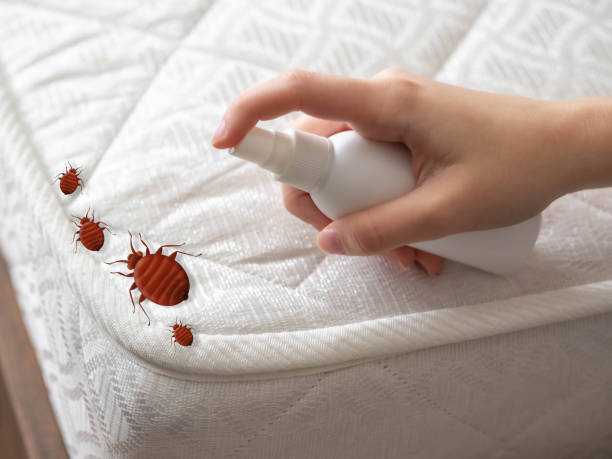 Best Emergency Pest Control  in Dupo, IL