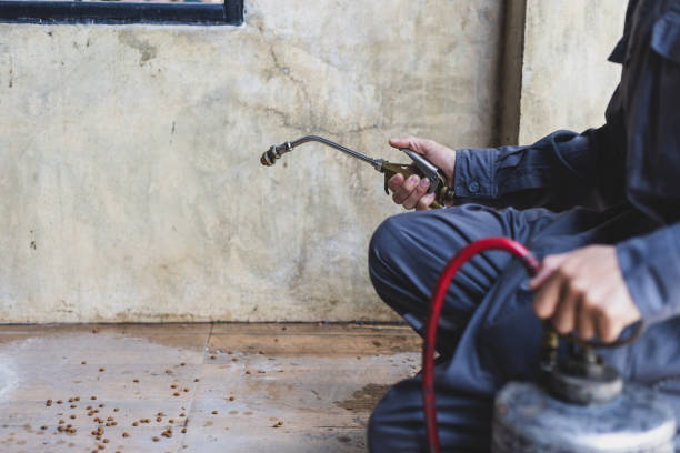 Best Pest Inspection Near Me  in Dupo, IL